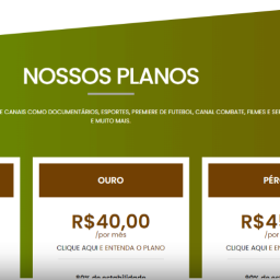 Your Small html site iptv business VERY Easy to edit site