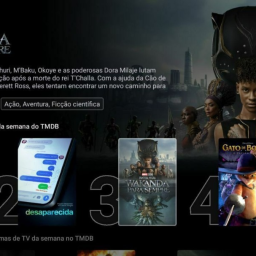 Netflix style   panel and  apk